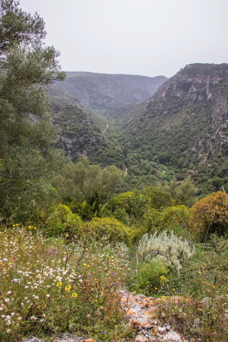 Nice valley view