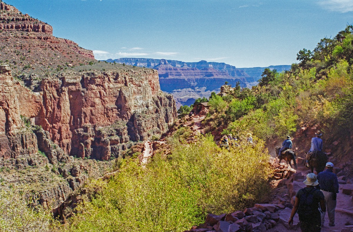 Mule or horse trips are very popular
