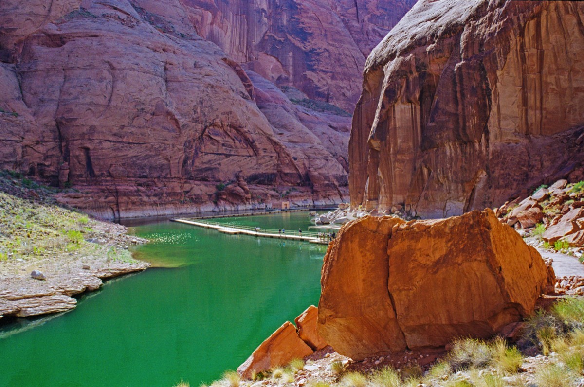 Green is the colour of the water