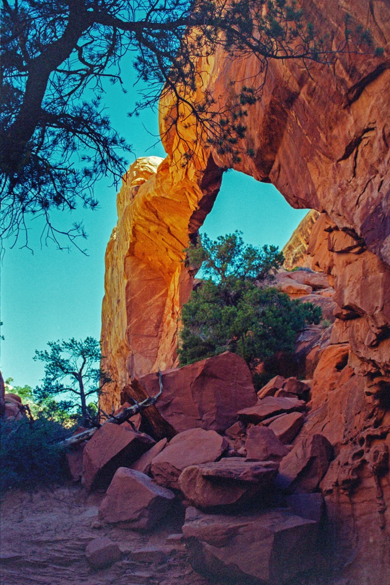 Wall Arch