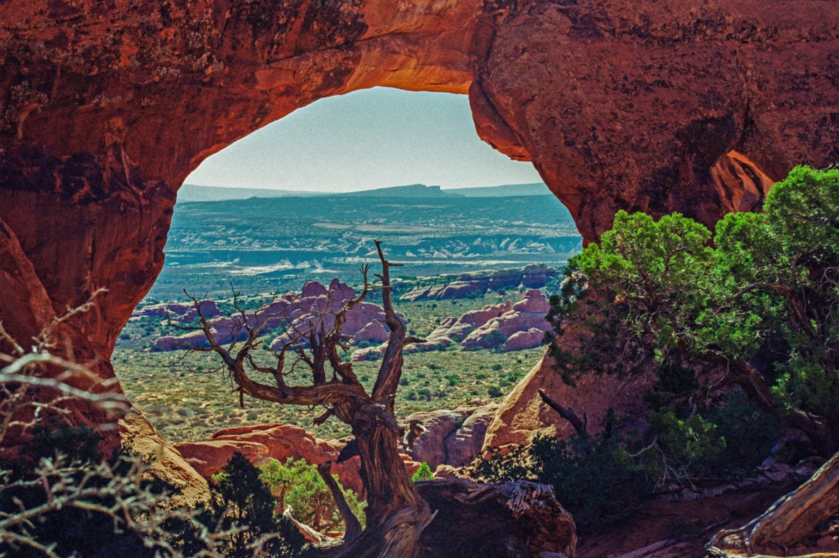 Partition Arch