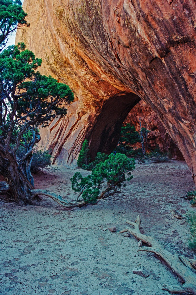 Navaho Arch