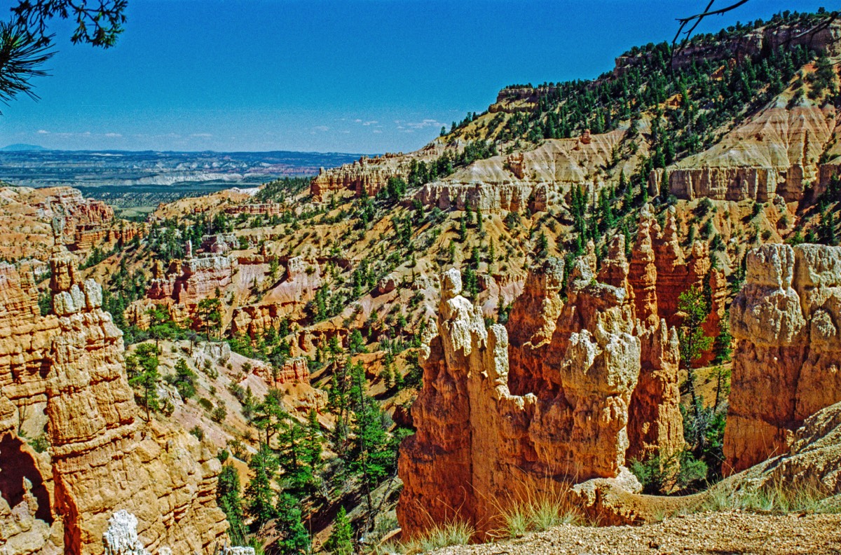 Red rocks and turrets