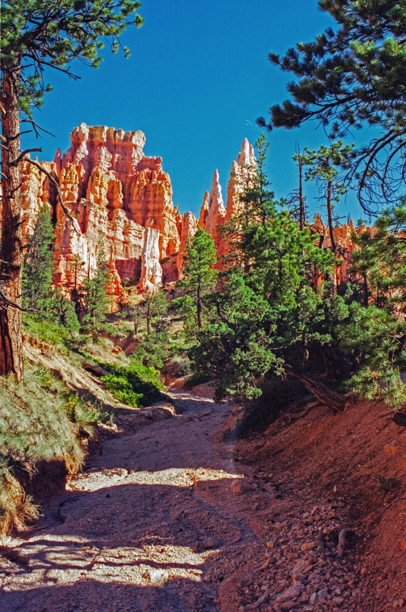 Queens Loop.  Walking among the spires