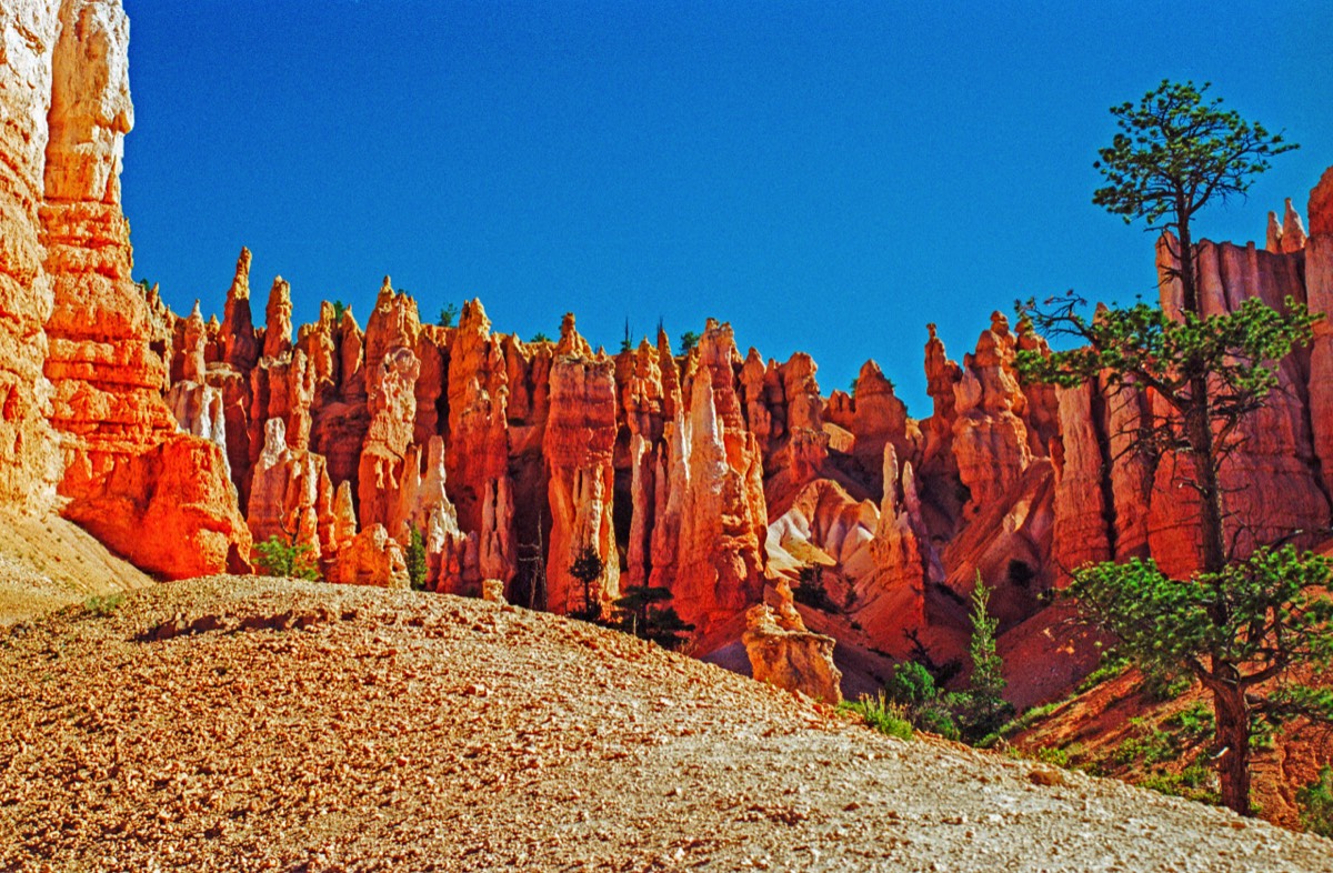 We loved this enchanting landscape