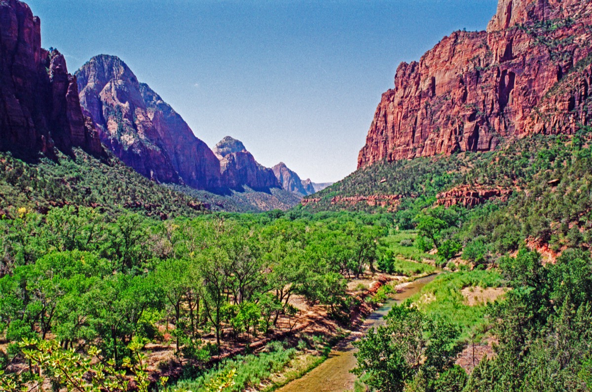Zion baking in the summer sun