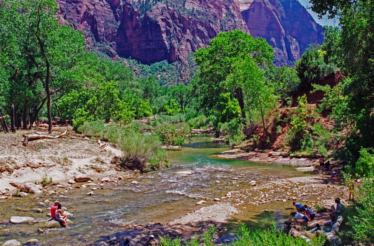 Seeking cooling in the Virgin River
