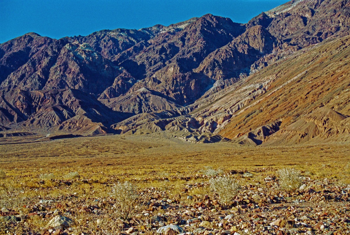 Nice palette of brown and yellows though