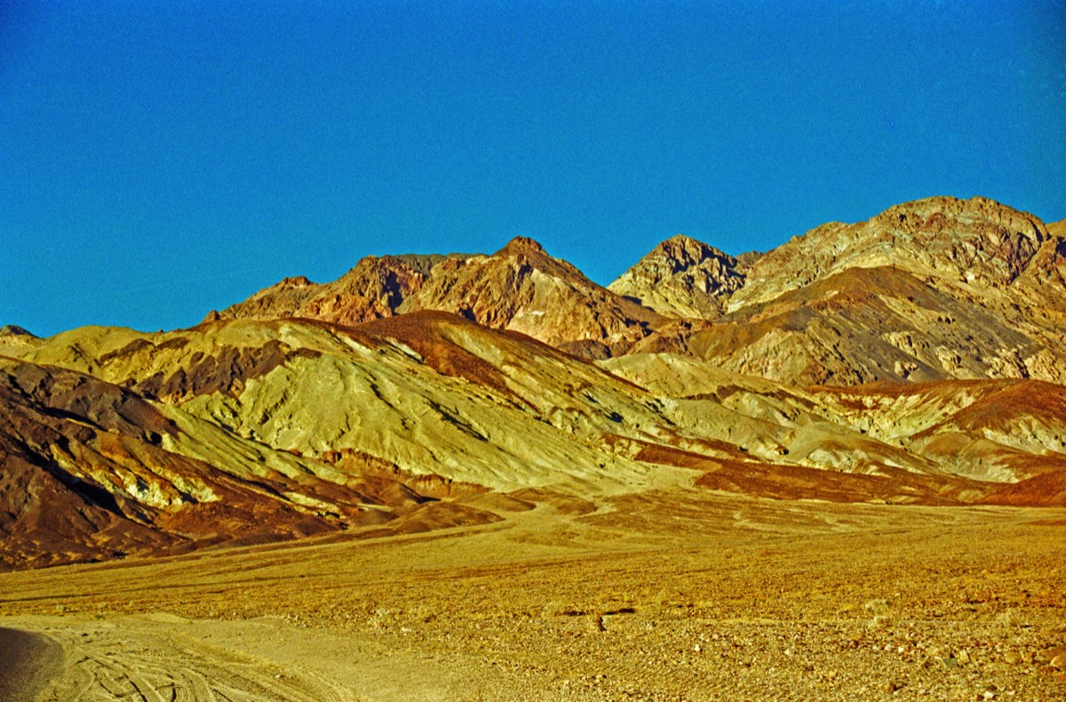The colours burn in the afternoon sun
