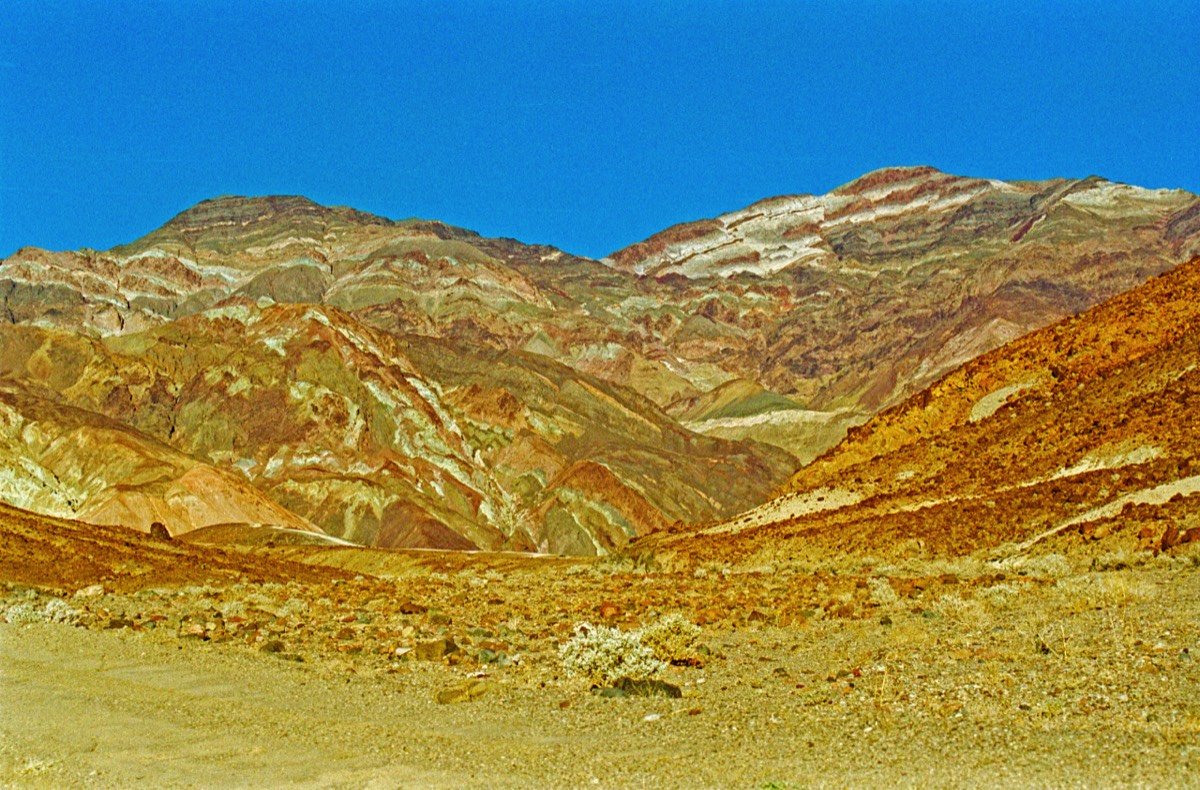 Artist's pallette