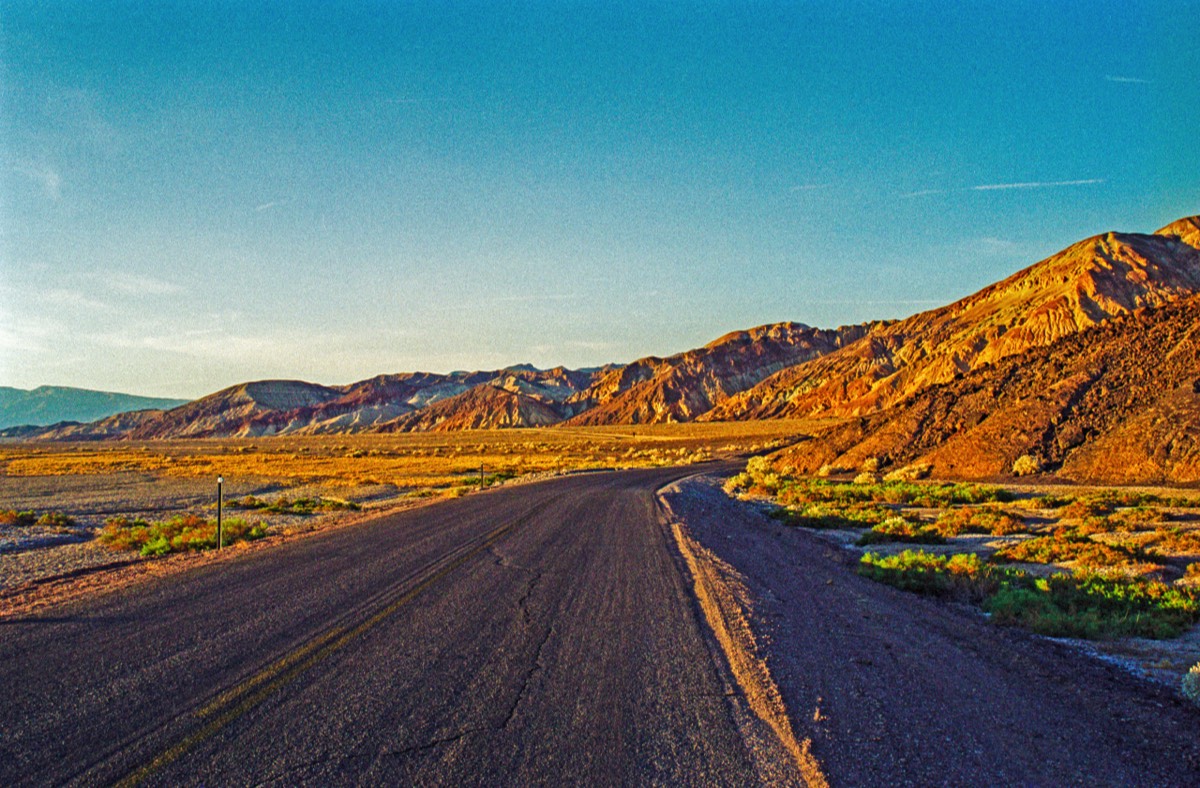 Even the road gets cracked. Imagine a horse cart on a trail