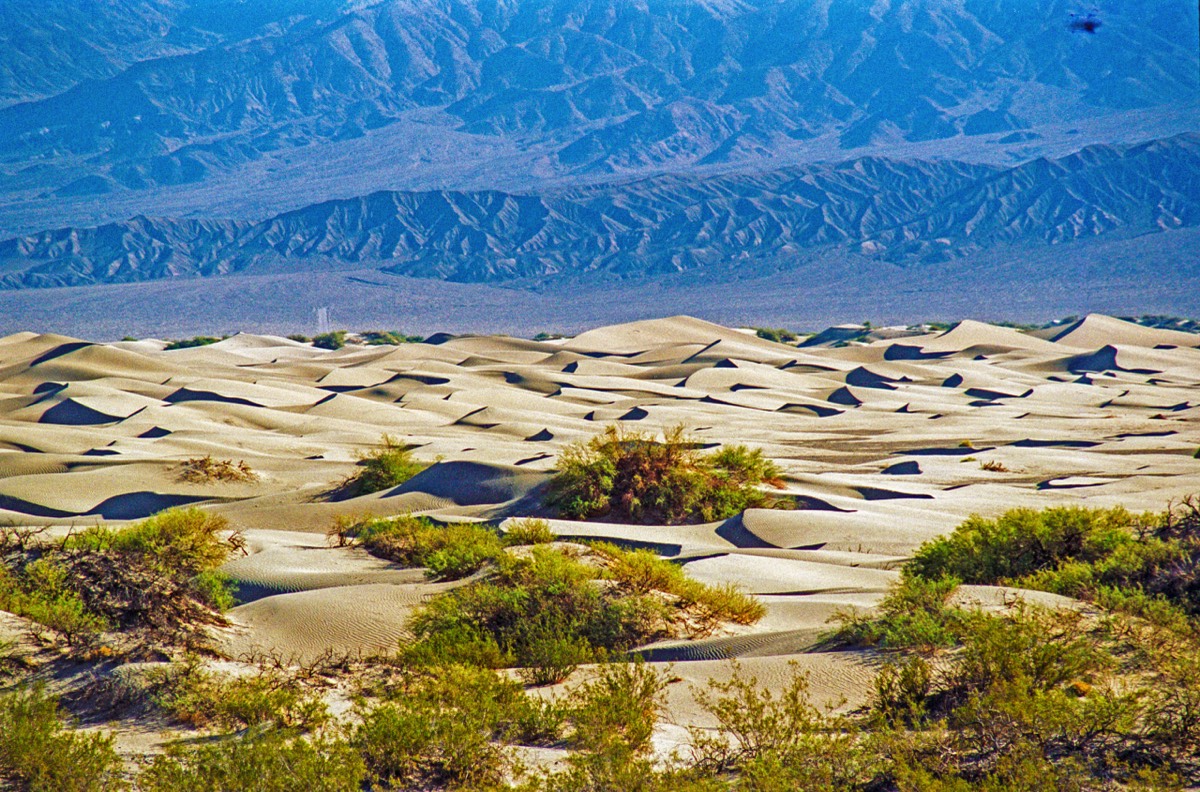 Sand dunes in the morning light