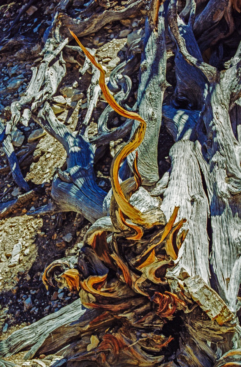 Nearly impossibly twisted