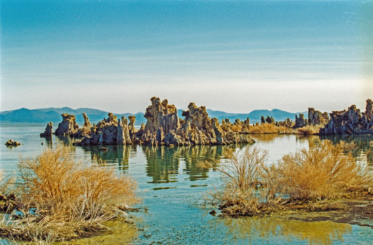 Mono lake in the morning sun