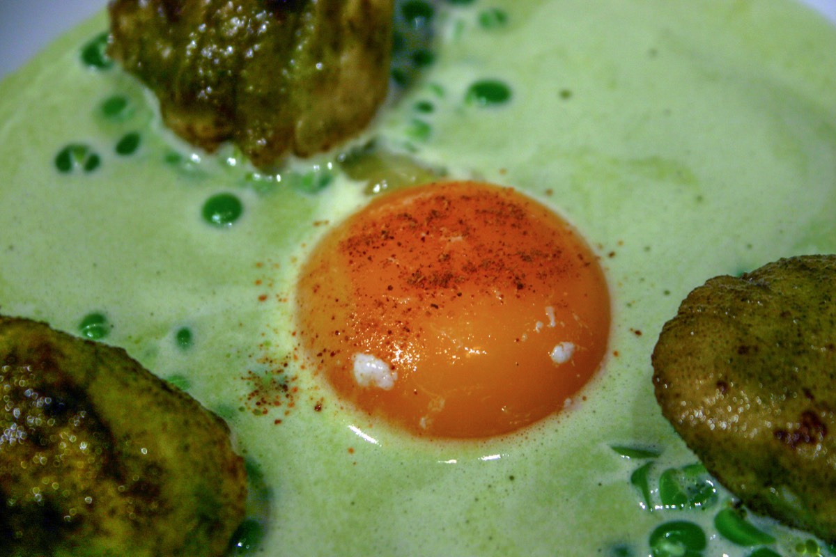 Egg with lentils and scallops