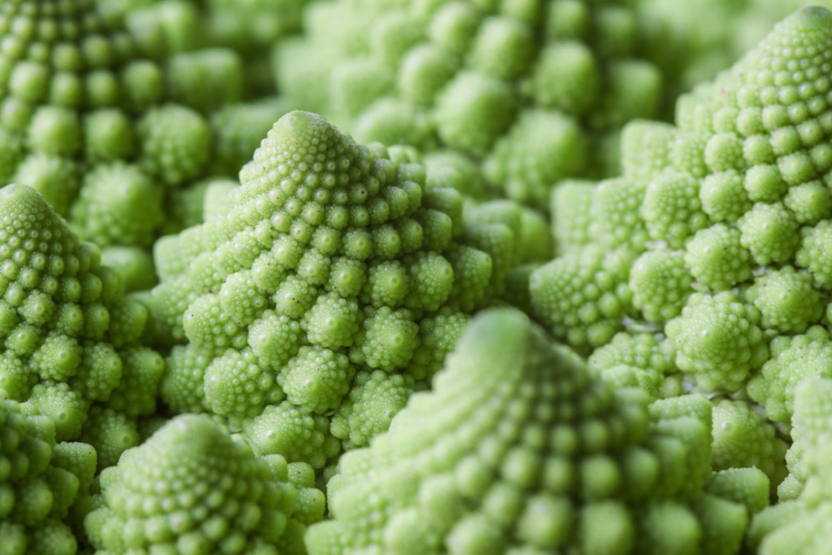 Fibonacci cabbage or romanesco