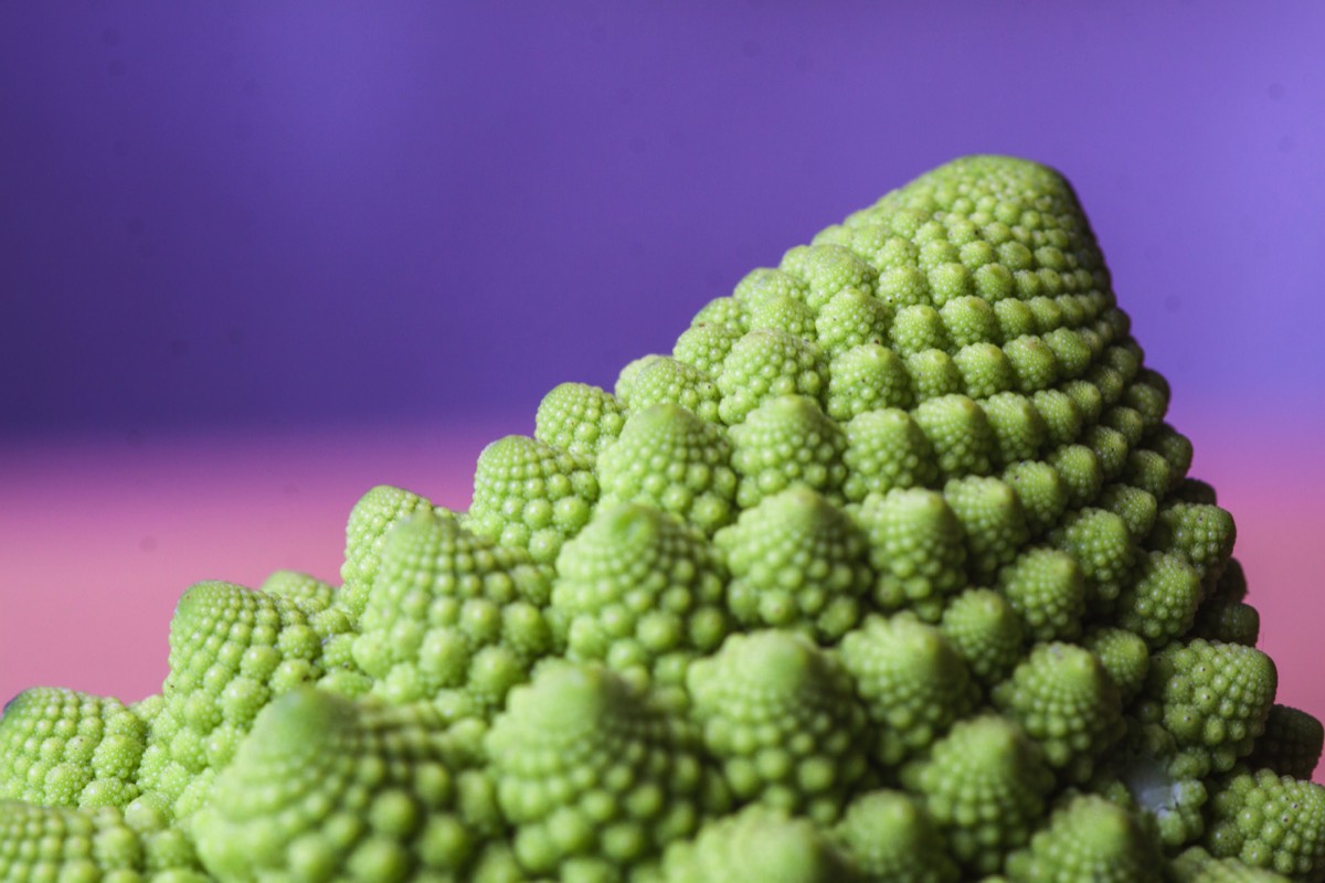 Fibonacci cabbage or romanesco