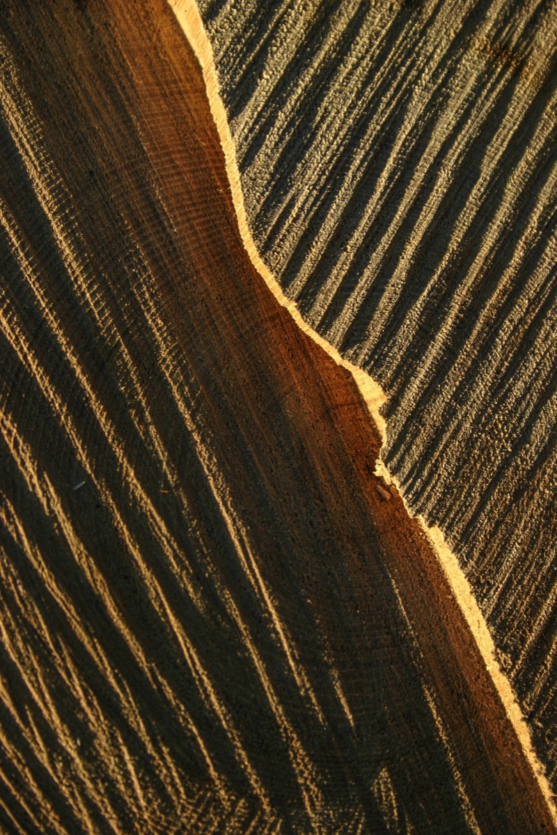 Cut wood
