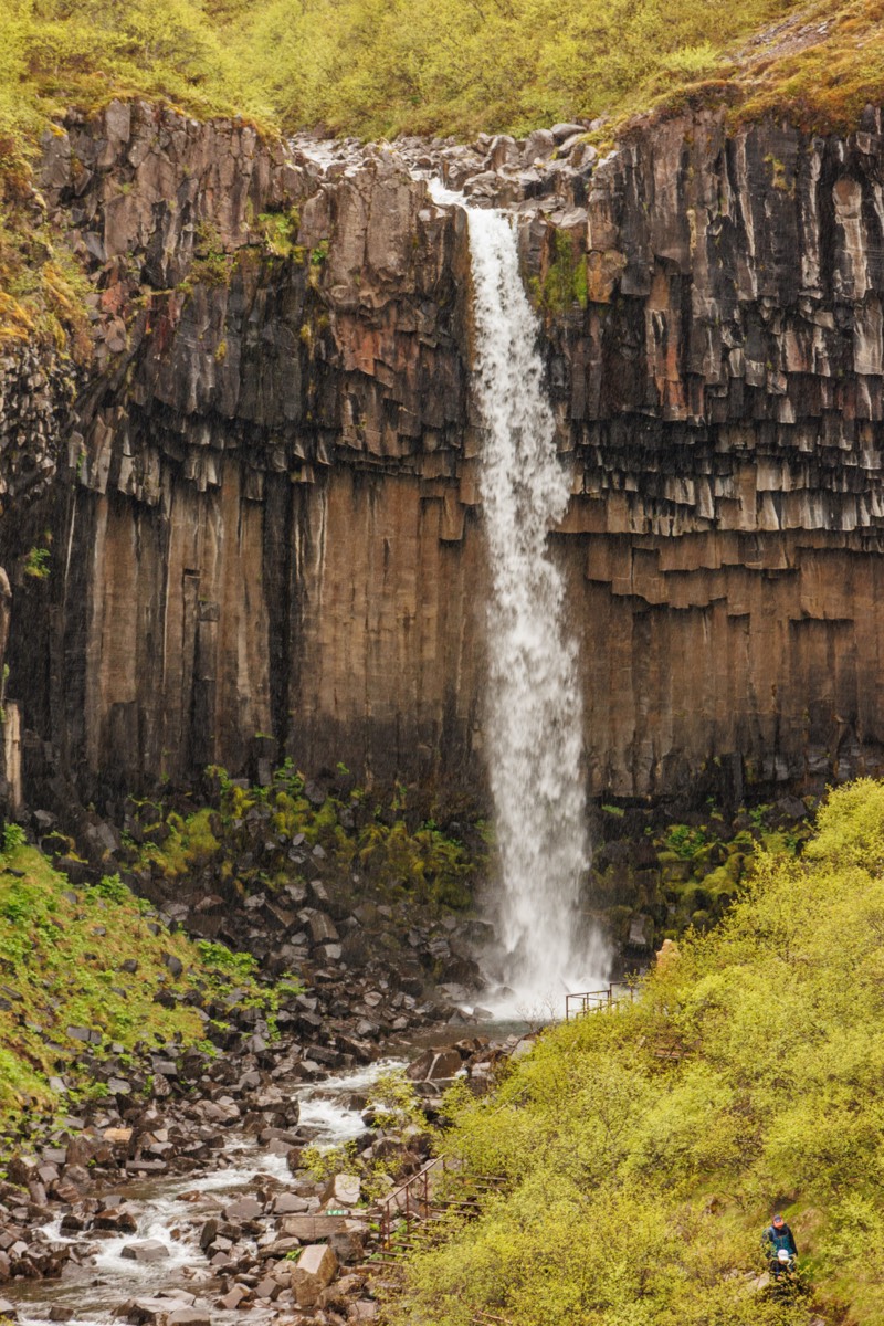 Stacks Image 3033