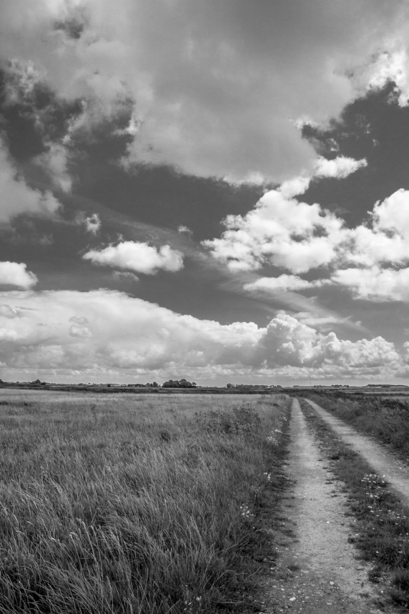 Flat landscape - Netherlands