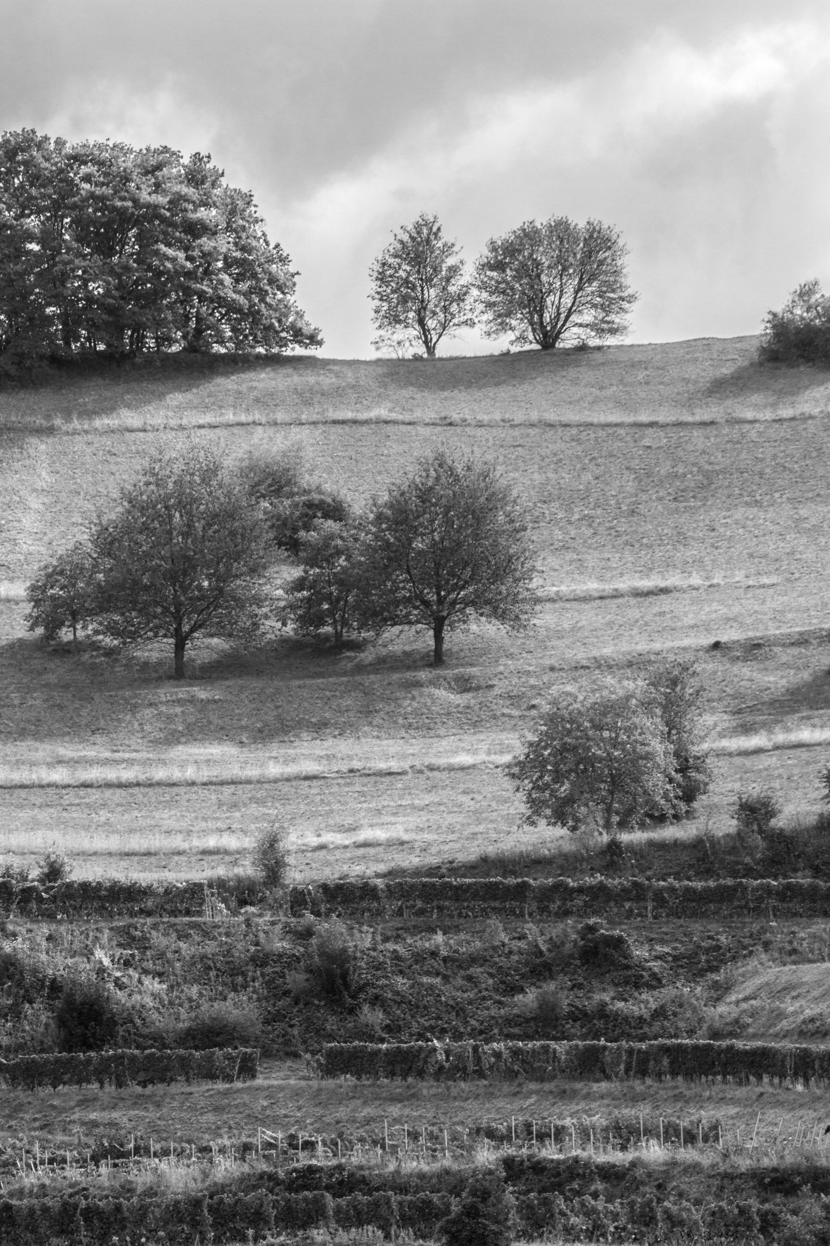 German hill