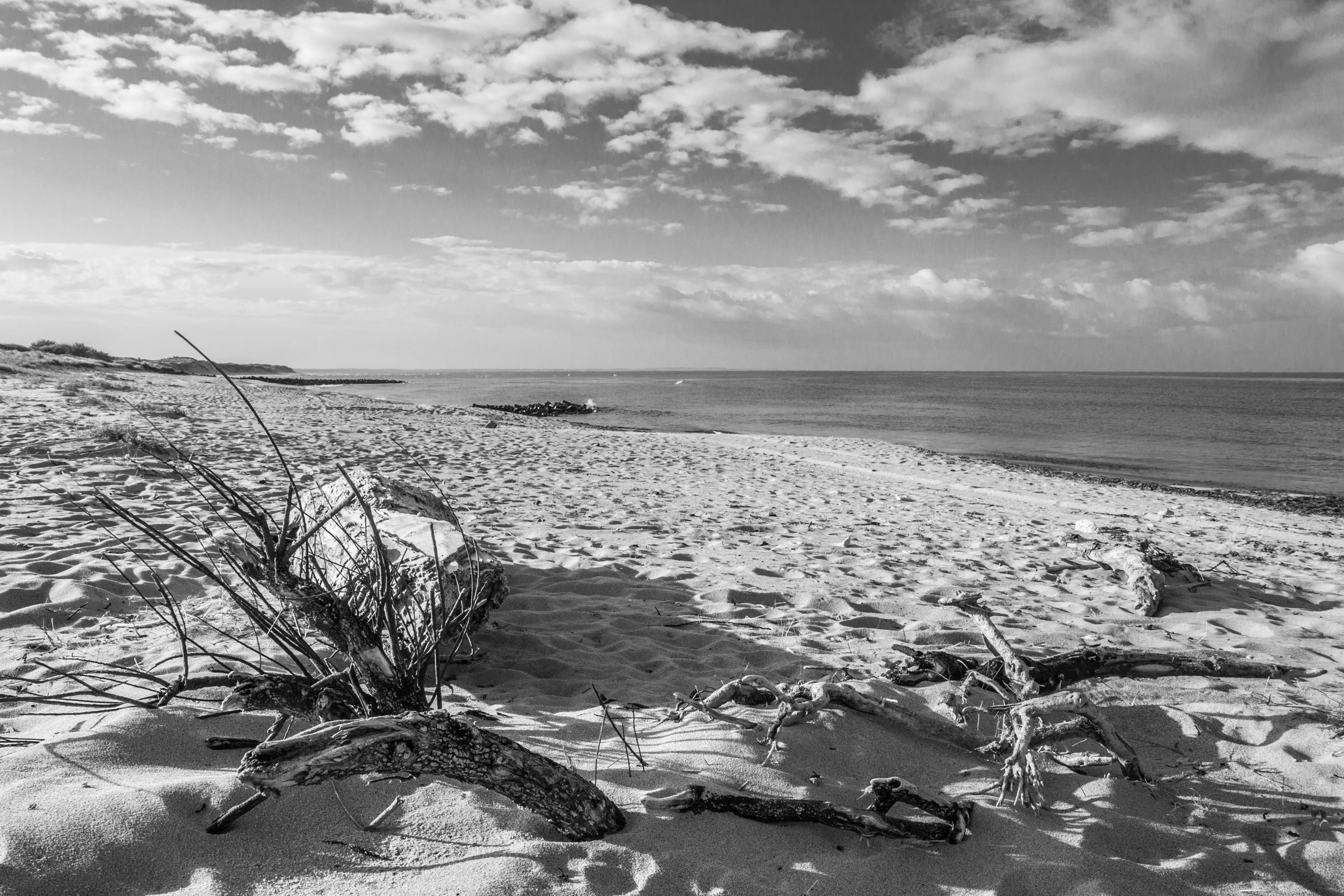 Ile D'Oleron beach in BW