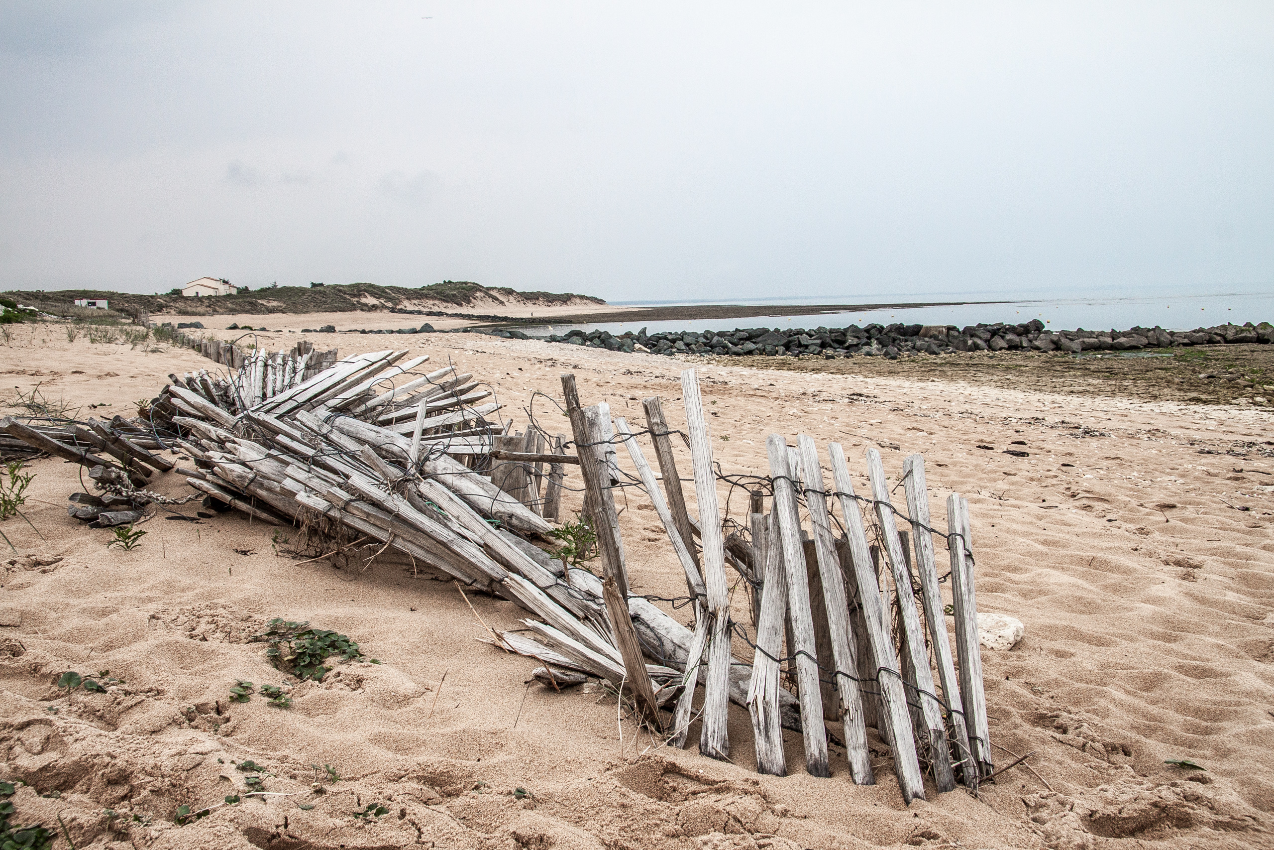 Bleached beach - Ile D'Oleron