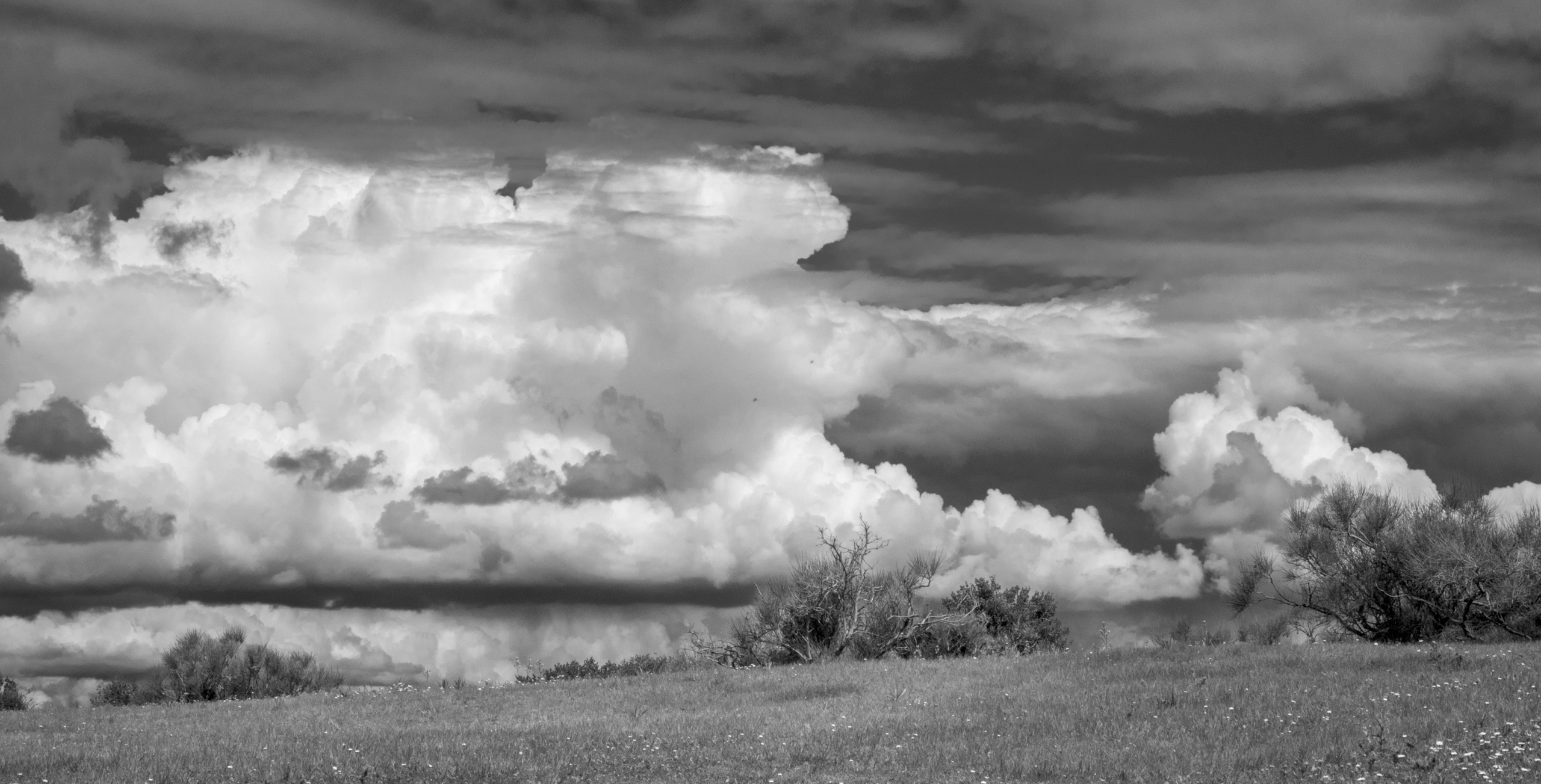 Cloudscape, Italy